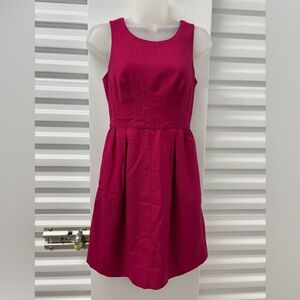 J. Crew Vibrant Pink Mini Dress